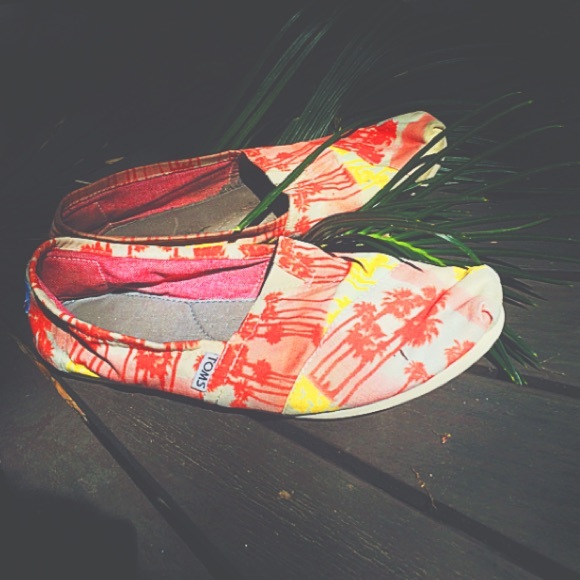 Palm tree toms🌴