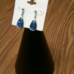 NEW! Beautiful blue green paua shell earrings