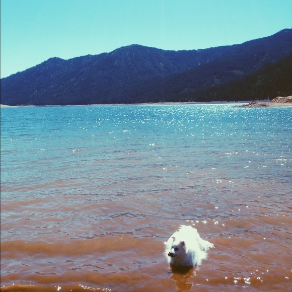 !!!!MY APOLOGIES!!!! (Please read description) - Picture 1 of 1