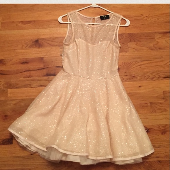 Ax Paris Rose Shimmer Fit and Flare Dress