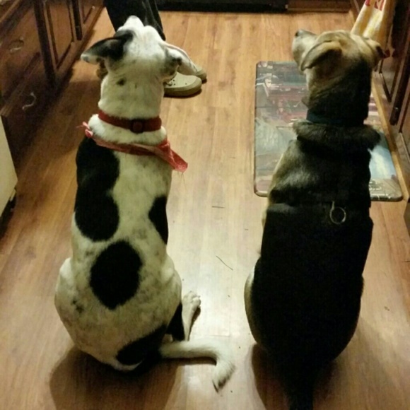 Meet Your Posher / Suggested User / Mentor - Picture 3 of 4