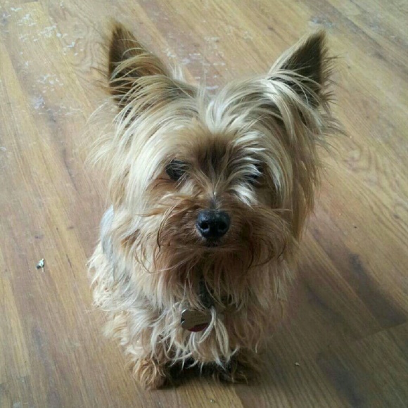 Meet Your Posher / Suggested User / Mentor - Picture 4 of 4