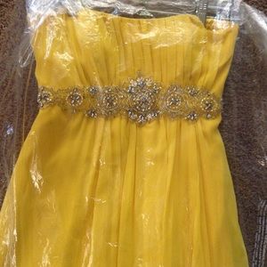 Long formal, prom/homecoming dress.