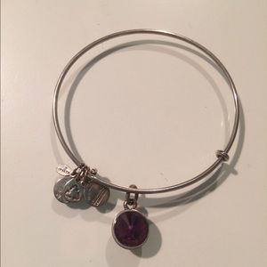 Alex and Ani Silver Amethyst Birthstone Bangle