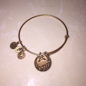 Alex and Ani Bracelet