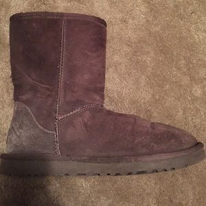 Brown short ugg boots