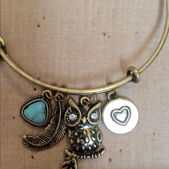 Bangle charm bracelet; Wisdom