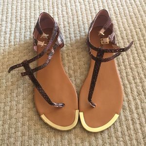 Purple and gold Steve Madden sandals