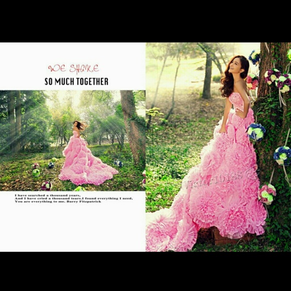 Gorgeous Pink Formal Evening Ball Gown.
