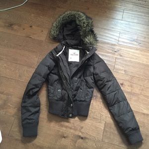 Hollister winter jacket