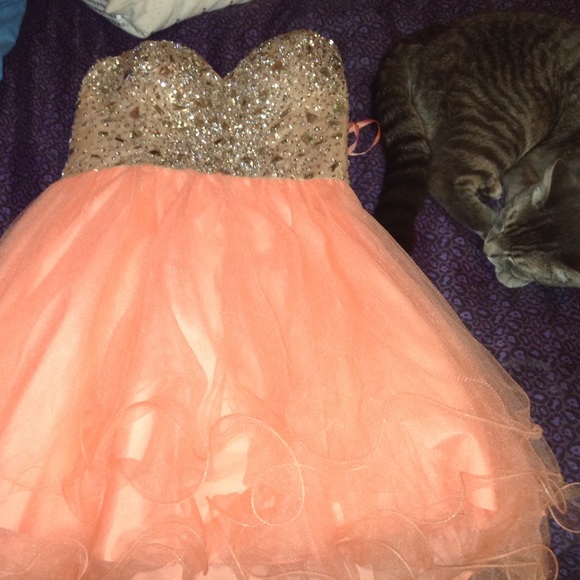 Dress!