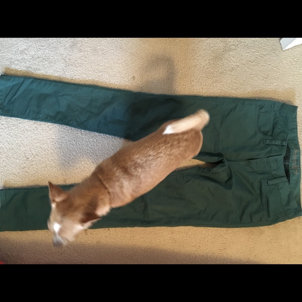 American rag turquoise pants