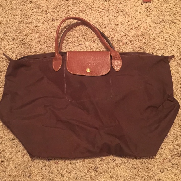 Long champ Le plumage dark brown medium size