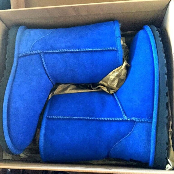Royal blue uggs ✨