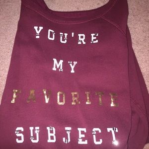 Maroon Pullover "You're my favorite subject"