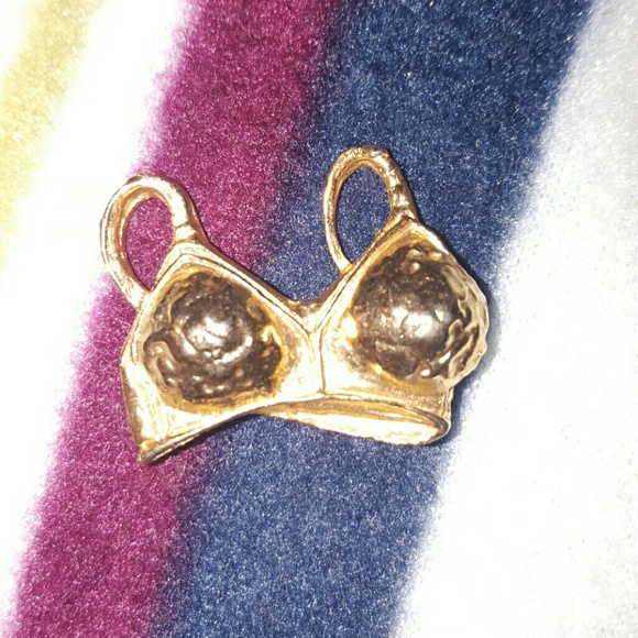 Brassiere pin