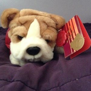 Puppy dog with England coat!