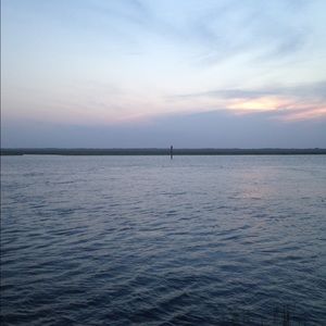 Attention Poshers! Shorts For Sale!👣☀️🌺