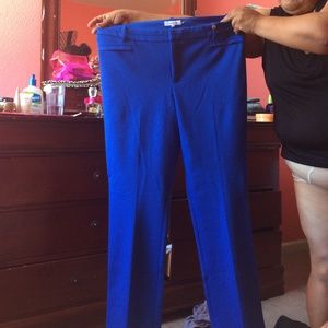 Calvin Klein blue pants