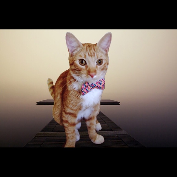 Welcome to my closet!!!