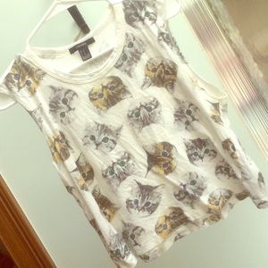 Cat muscle T