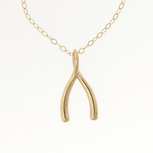 For love and lemons wishbone necklace