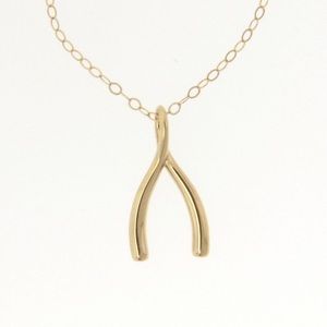 For love and lemons wishbone necklace