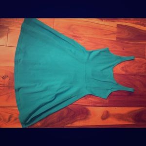 Express fit and flare dress