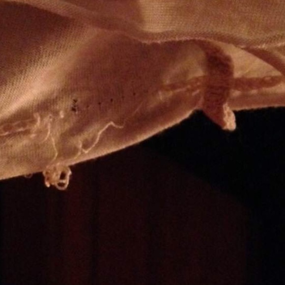 Brandy Crop - Picture 3 of 3