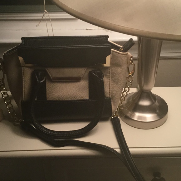 ALex and Ani Crossbody Bag