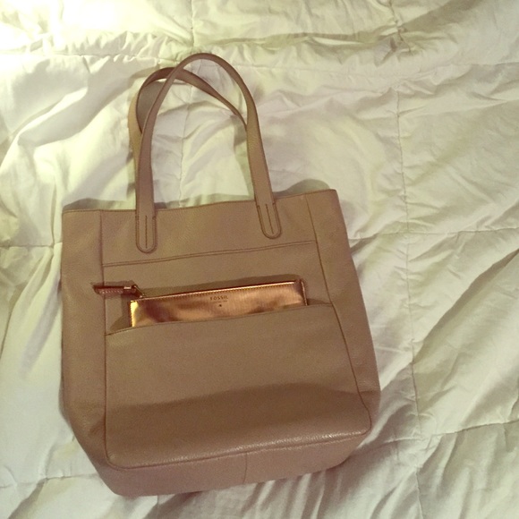 Large Fossil Purse and Clutch