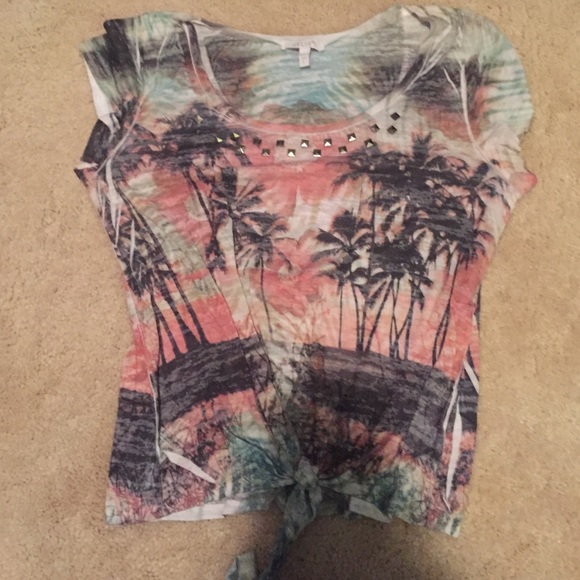 Studded Palm tree top - Picture 1 of 2