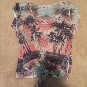 Studded Palm tree top