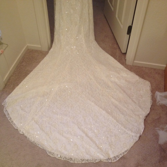 Mermaid Gown Wedding Dress - Picture 3 of 4