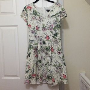 Lovely & lady like lace dress