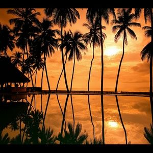 Purchase for @whatzlove18