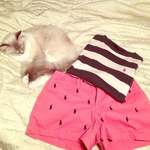 More things Polo! **kitten not for sale lol