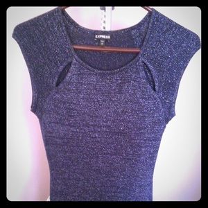 Navy blue sparkly express dress