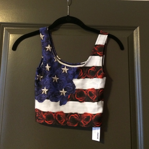 American Flag Crop Top