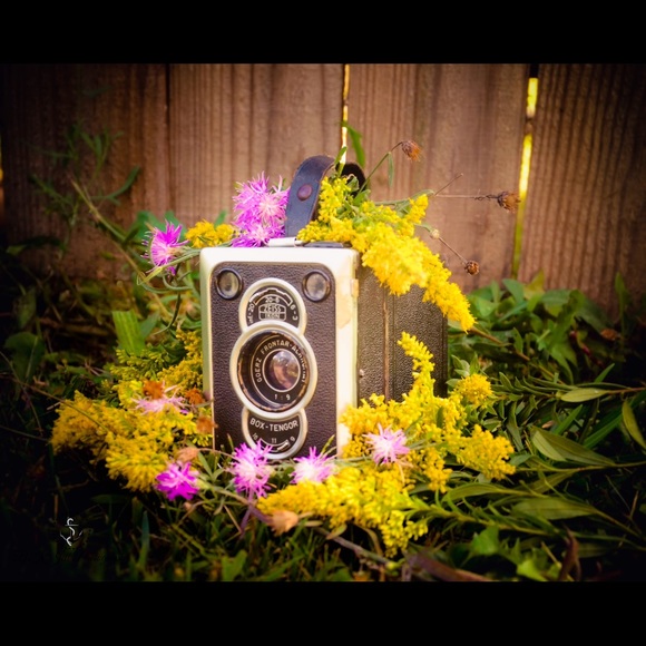 Antique camera 💚 - Picture 2 of 2