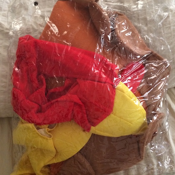 LAST CHANCE! Adult Turkey Costume - Picture 2 of 2