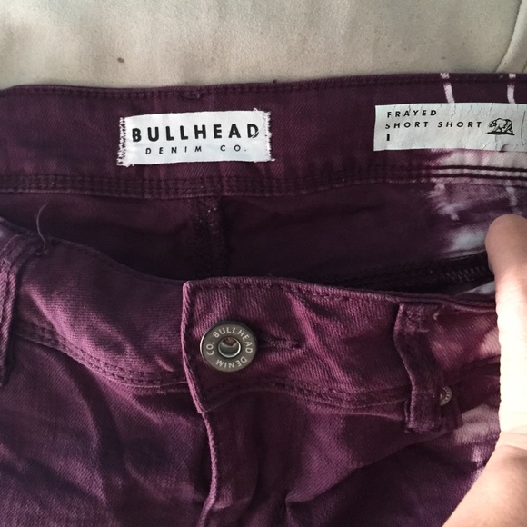 PacSun Shorts - Picture 3 of 3