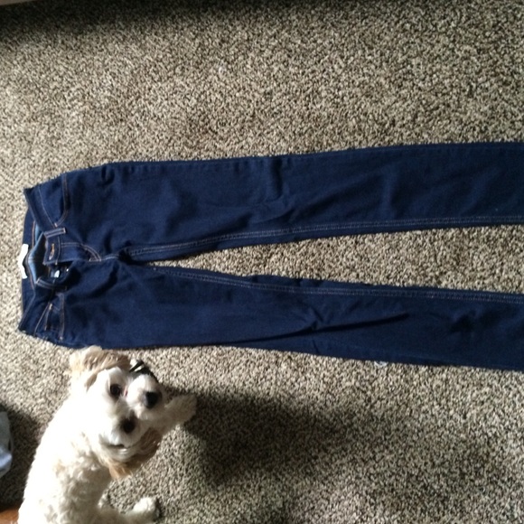 Levi's jeans super skinny & stretchy ft dog