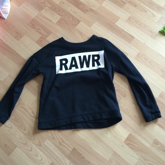 Rawr sweater