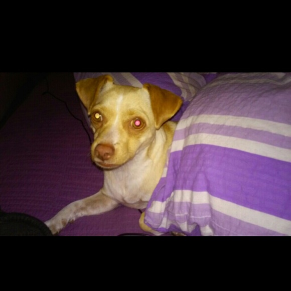 MEET YOUR SELLER/BUYER ! - Picture 2 of 4