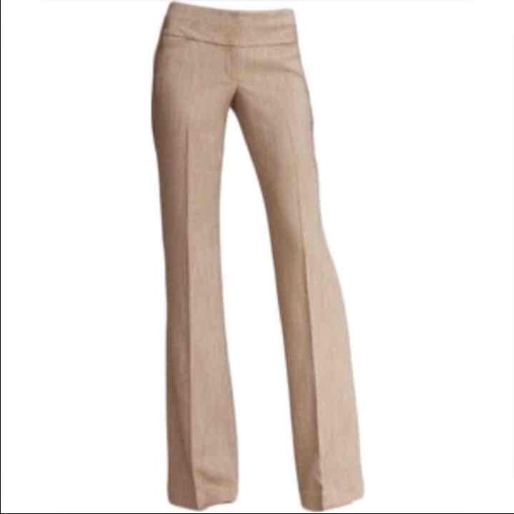 Express Editor Pants