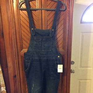 Free People Denim Overalls