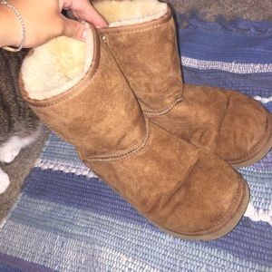Chestnut classic ugg