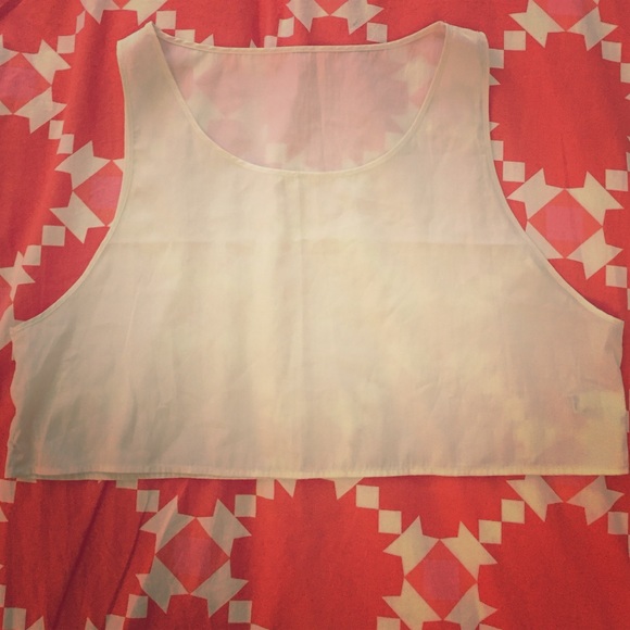 Sleeveless semi-sheer crop top