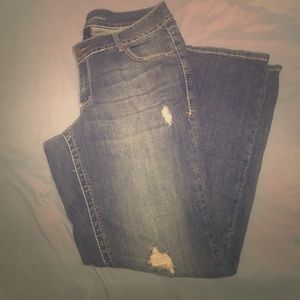 Lane Bryant Blue jeans